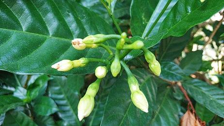 肉鸽独游《数字魅影：极限竞赛》实机pv公布